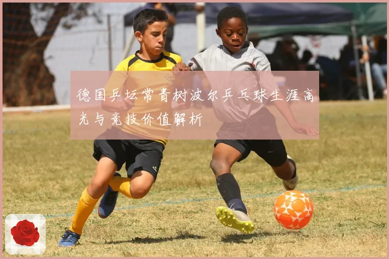 德国乒坛常青树波尔乒乓球生涯高光与竞技价值解析