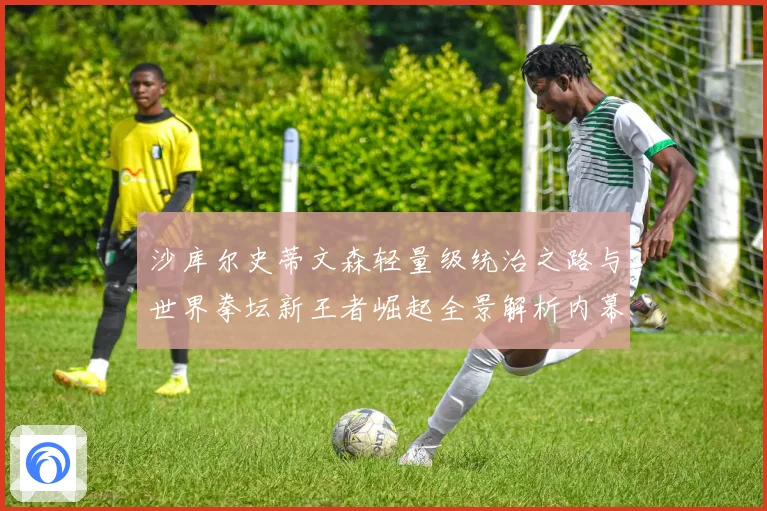 沙库尔史蒂文森轻量级统治之路与世界拳坛新王者崛起全景解析内幕