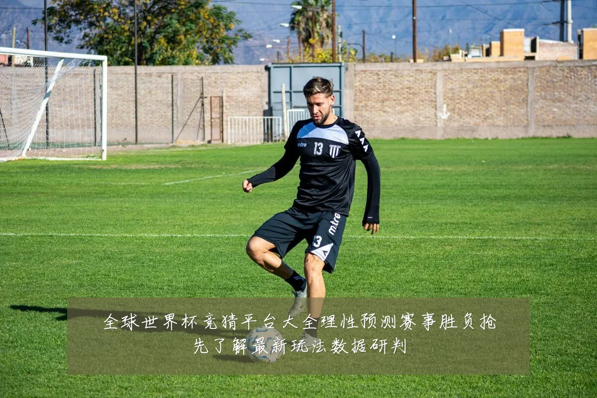 全球世界杯竞猜平台大全理性预测赛事胜负抢先了解最新玩法数据研判