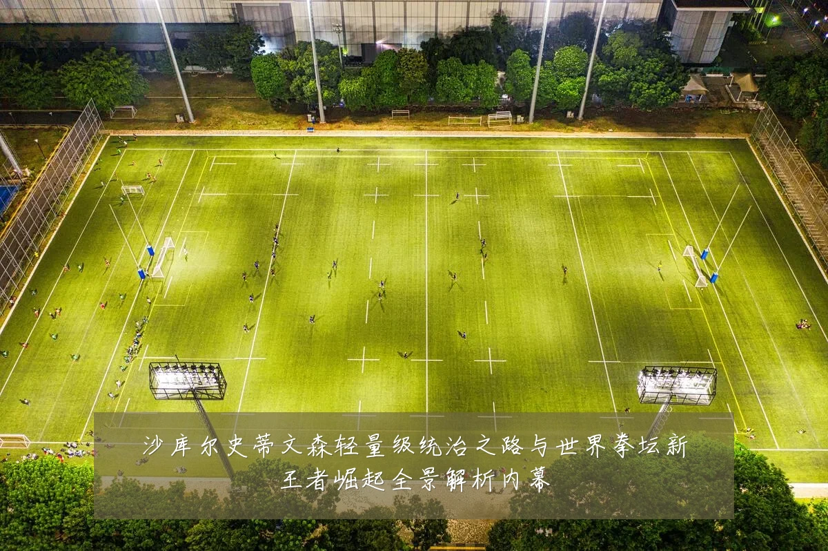 沙库尔史蒂文森轻量级统治之路与世界拳坛新王者崛起全景解析内幕