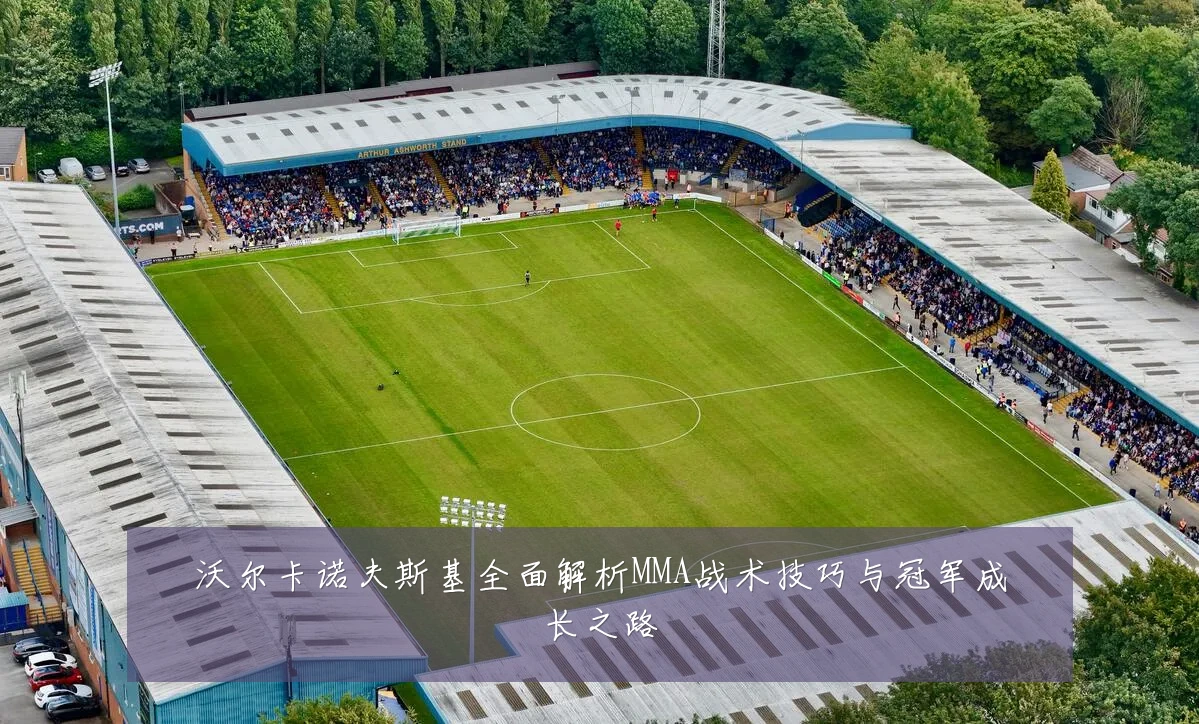 沃尔卡诺夫斯基全面解析MMA战术技巧与冠军成长之路